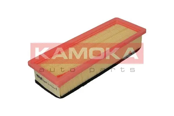 Air Filter (F206201)