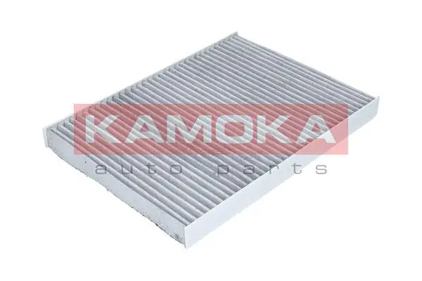 Filter, cabin air (F500201)