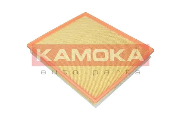 Air Filter (F243201)