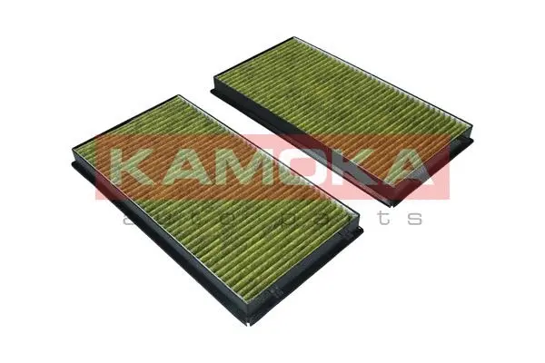 Filter, cabin air (6080036)