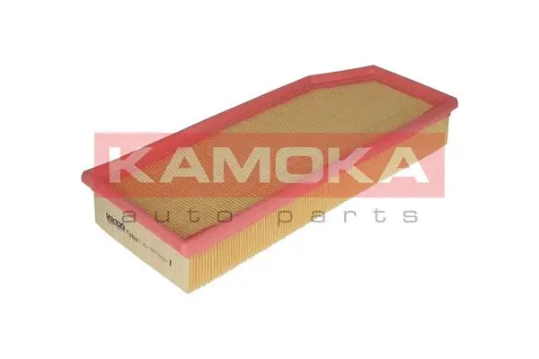 Air Filter (F209801)