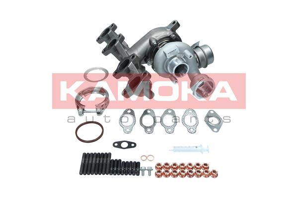 Charger, charging (supercharged/turbocharged) (8600002)