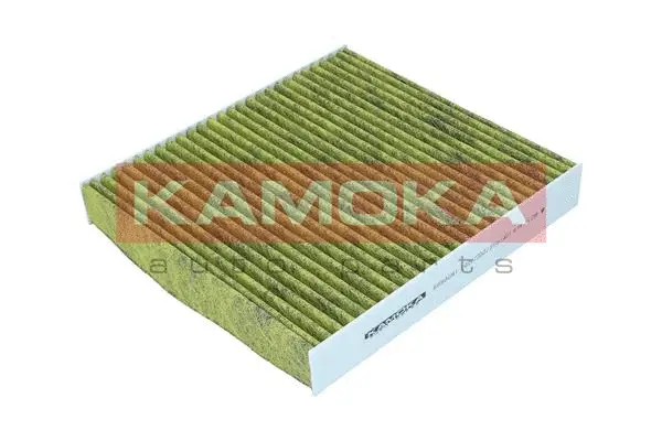 Filter, cabin air (6080091)