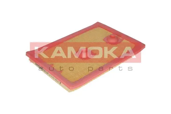 Air Filter (F237201)
