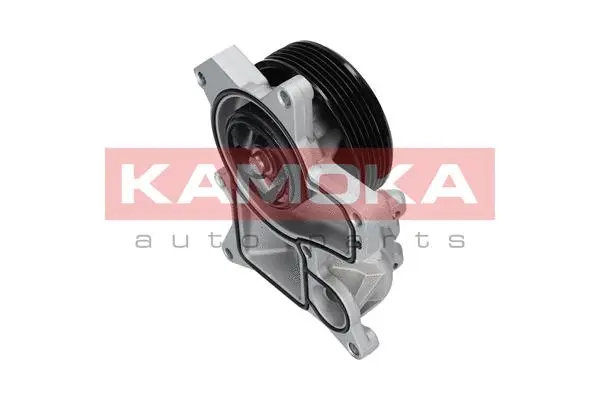 Water Pump, engine cooling (T0048)