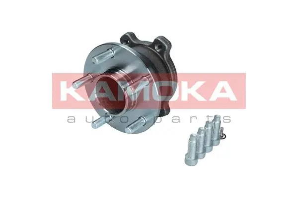 Wheel Bearing Kit (5500241)