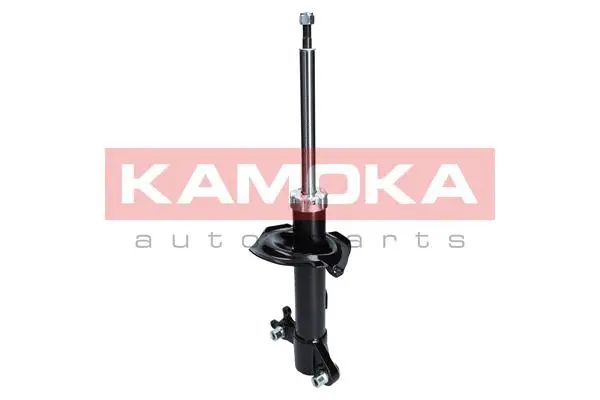 Shock Absorber (2000112)