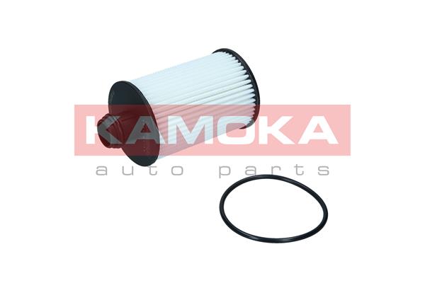 Oil Filter (F122701)