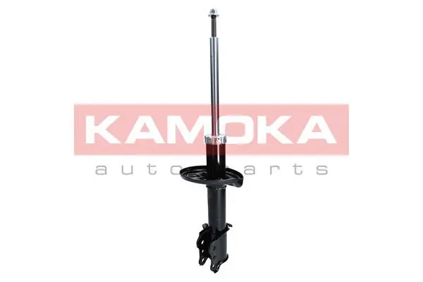 Shock Absorber (2000177)