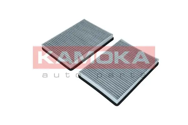 Filter, cabin air (F505701)