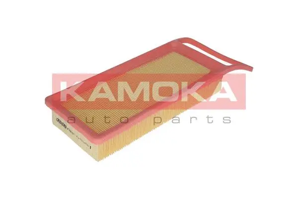 Air Filter (F208701)