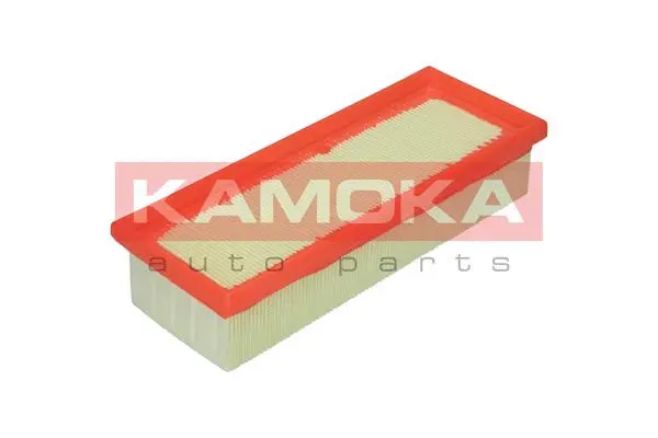 Air Filter (F203201)
