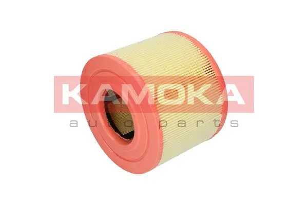 Air Filter (F215201)