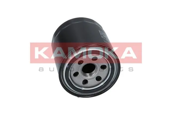 Oil Filter (F102001)