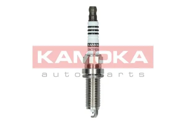 Spark Plug (7100036)