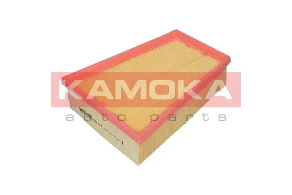 Air Filter (F204101)