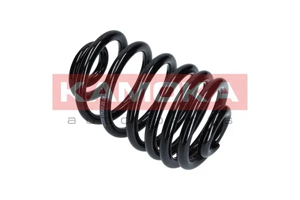 Suspension Spring (2120301)