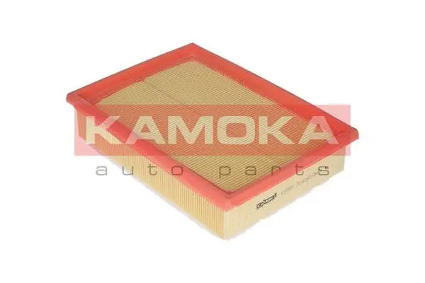 Air Filter (F218501)