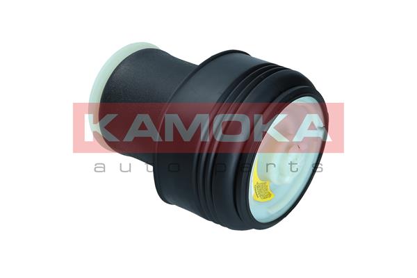 Air Spring, suspension