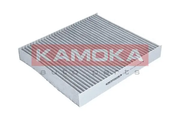 Filter, cabin air (F509701)