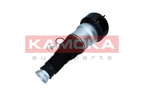 Air Spring, suspension