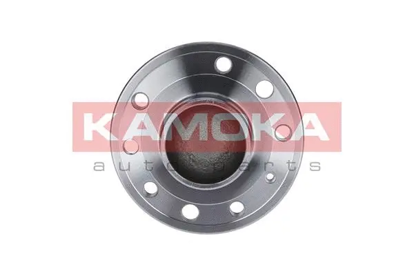Wheel Bearing Kit (5500126)