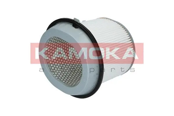 Air Filter (F216301)