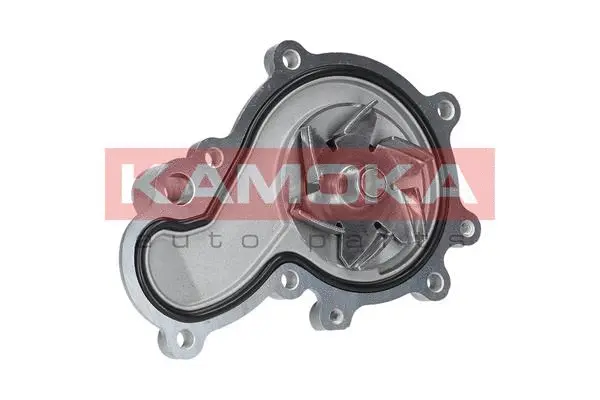 Water Pump, engine cooling (T0075)