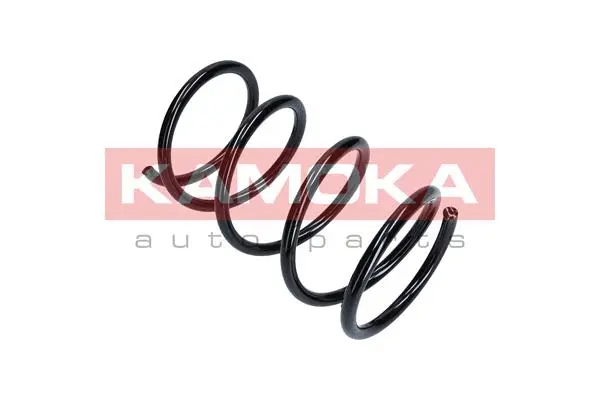 Suspension Spring