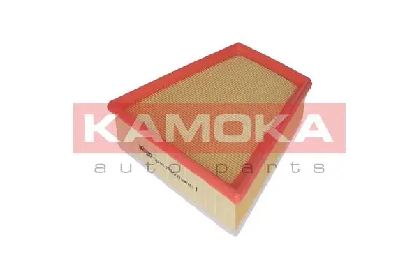 Air Filter (F234401)
