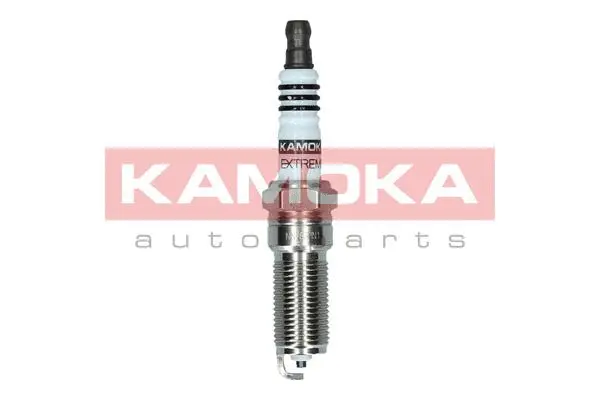 Spark Plug (7090532)