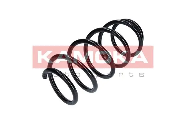 Suspension Spring (2110196)