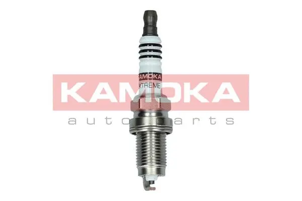 Spark Plug (7090540)
