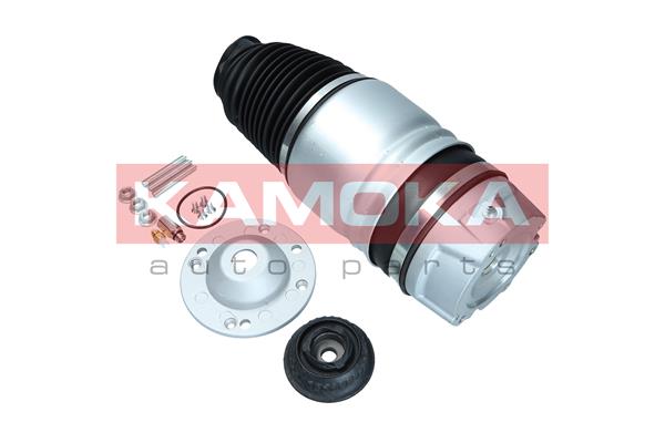 Air Spring, suspension