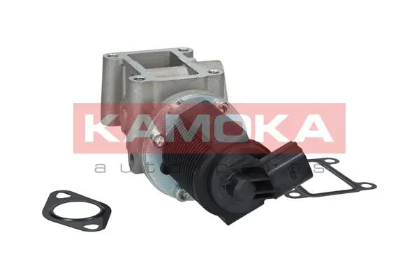 EGR Valve