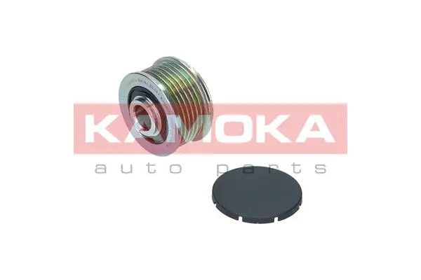 Alternator Freewheel Clutch