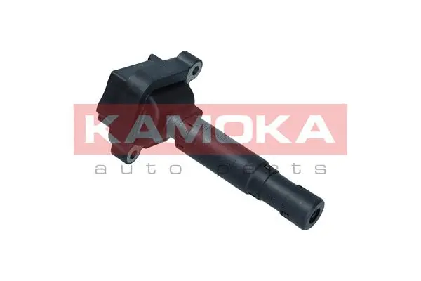 Ignition Coil (7120051)