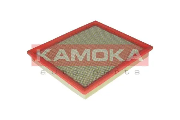 Air Filter (F217001)