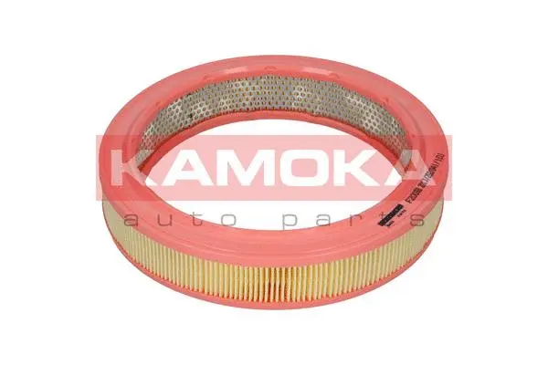 Air Filter (F200301)