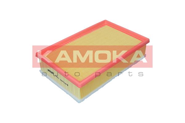 Air Filter (F255201)