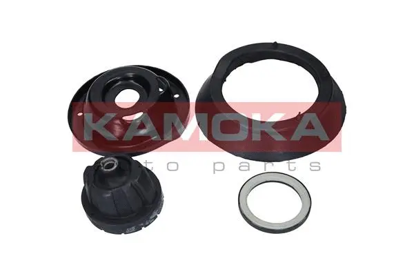 Repair Kit, suspension strut support mount (209004)