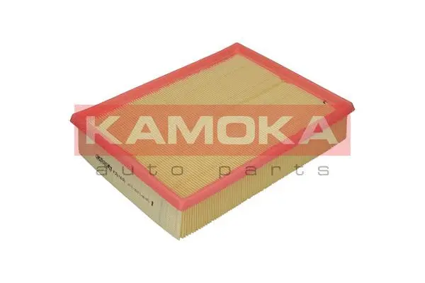 Air Filter (F201601)