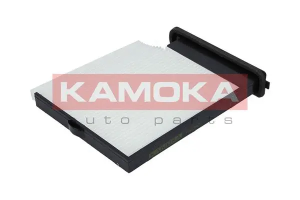 Filter, cabin air (F415601)