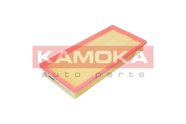 Air Filter (F224201)