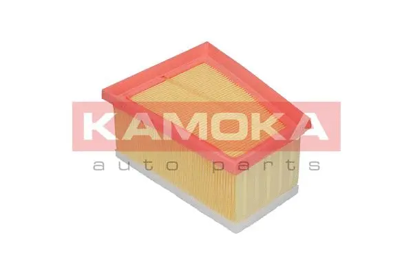 Air Filter (F202101)