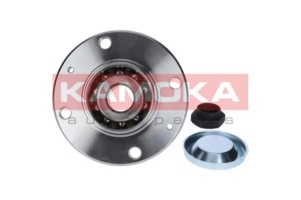 Wheel Bearing Kit (5500006)