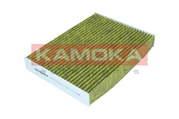 Filter, cabin air (6080127)