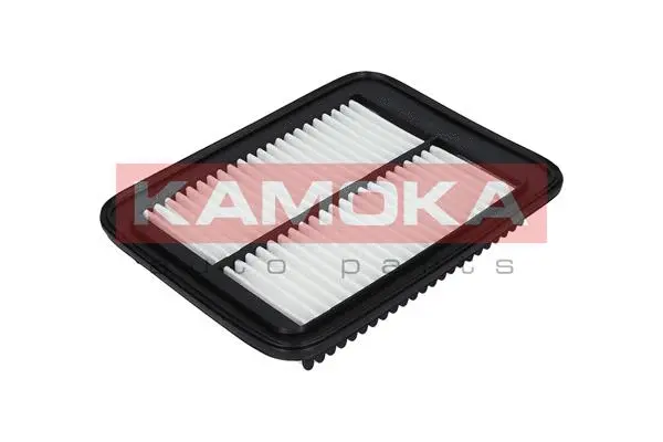 Air Filter (F226101)
