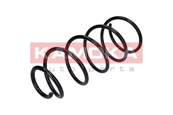 Suspension Spring (2110131)