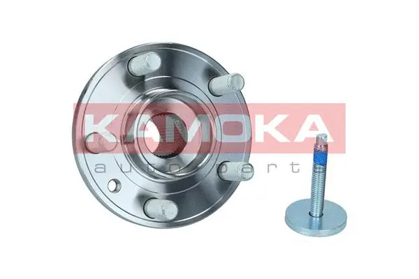 Wheel Bearing Kit (5500244)